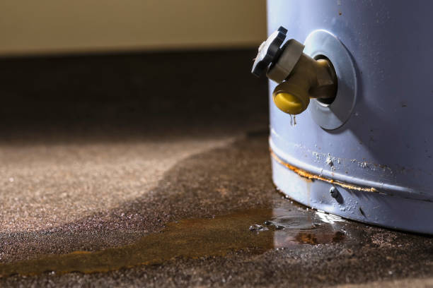 Best 24/7 water damage repair  in Dardenne Prairie, MO