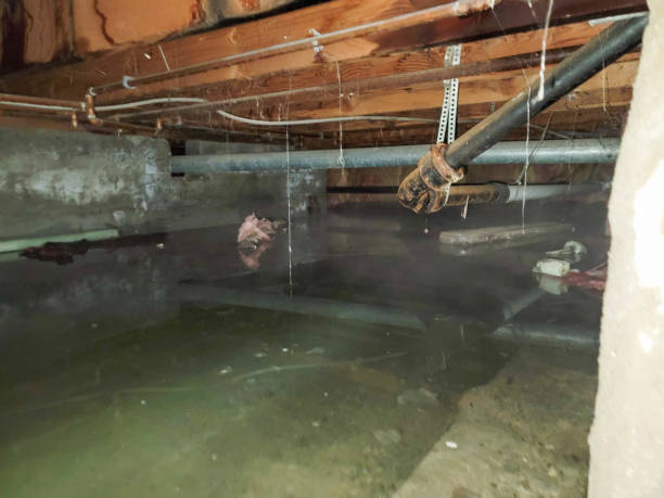 Water damage restoration experts in Dardenne Prairie, MO
