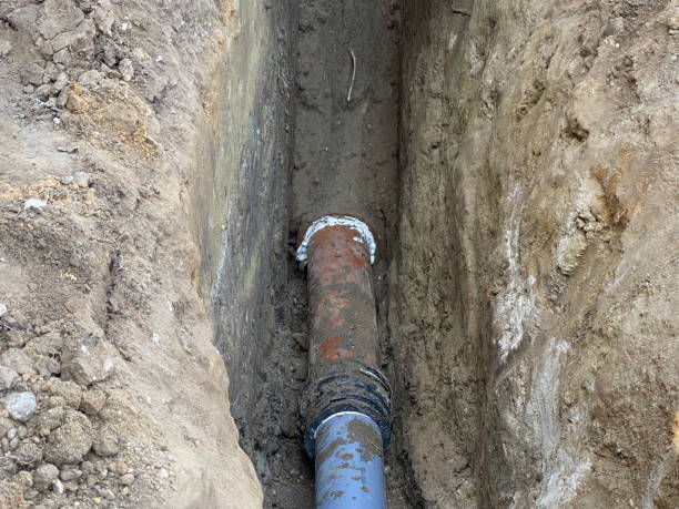 Best Flood damage cleanup  in Dardenne Prairie, MO