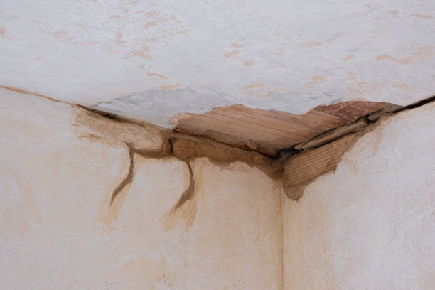 Best Flooded house restoration  in Dardenne Prairie, MO