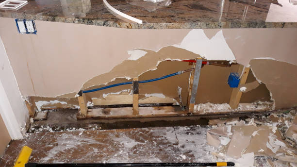 Best Fire Damage Restoration  in Dardenne Prairie, MO