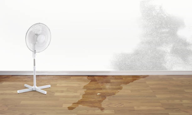 Best Flood damage cleanup  in Dardenne Prairie, MO