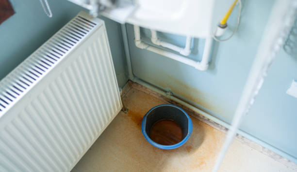 Best Flood restoration services  in Dardenne Prairie, MO