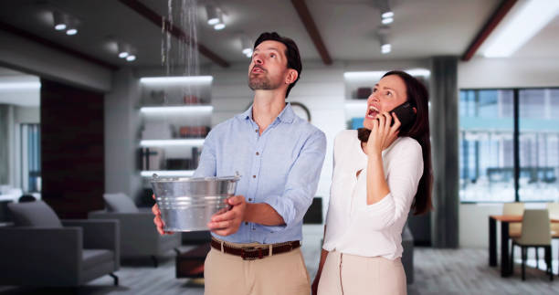 Best Fire Damage Restoration  in Dardenne Prairie, MO